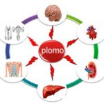 Zumos de frutas 15 Efectos del Plomo en la Salud